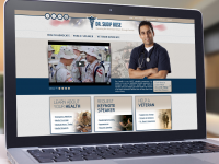 Web Design Portfolio: Dr. Sudip Bose