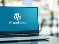 The Unstoppable Power of WordPress