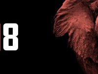 Laravel 8.79 Released