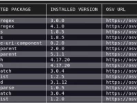 Google Releases Open-Source Vulnerability Scanning Tool