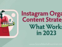 Instagram Organic Content Strategy: What Works in 2023